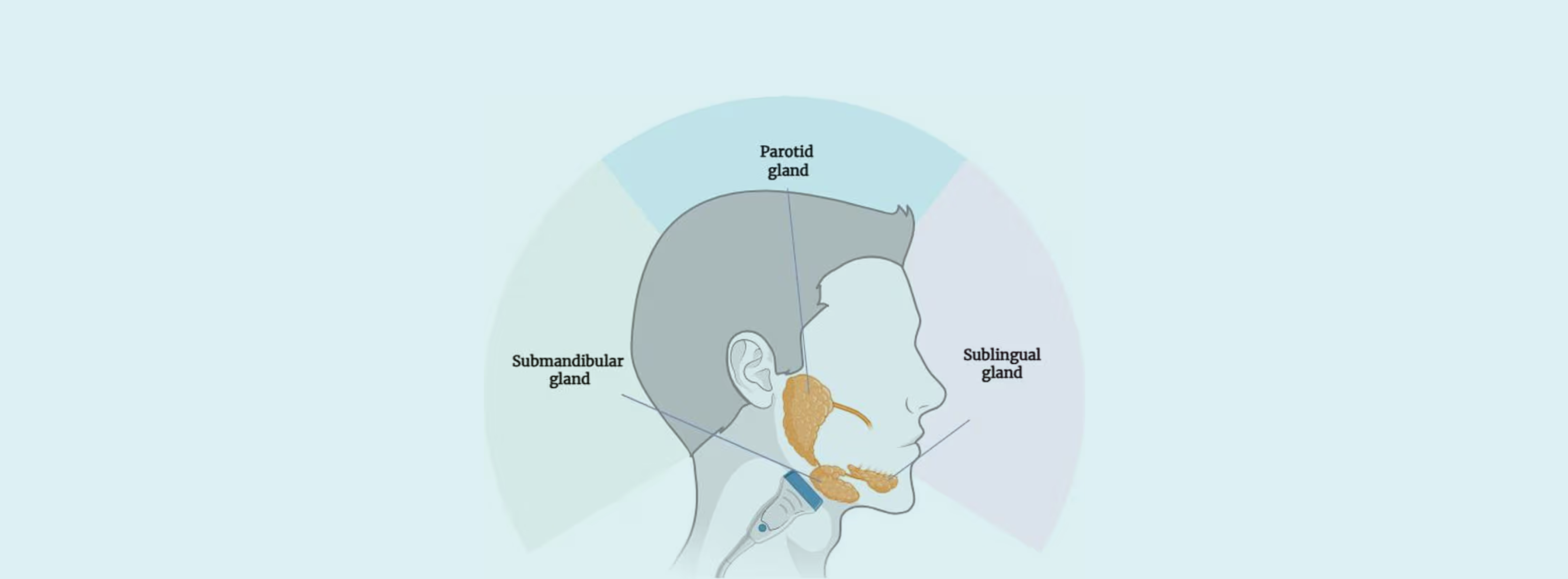 ESWT for Sialorrhea in Parkinson's Disease | Aerobe | Aerobe