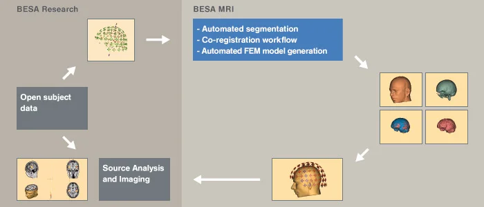 BESA MRI 2